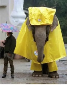 It's an elephant.  In a raincoat.  You're welcome.